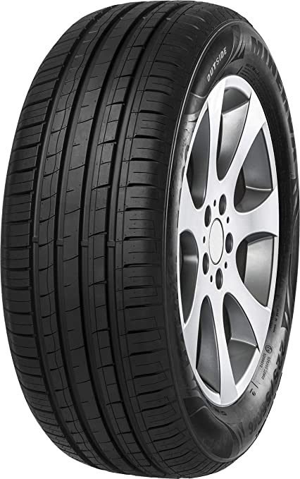 MINERVA 205/55 R16 94V F209