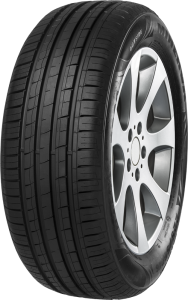 MINERVA 195/55 R16 91VXL F209