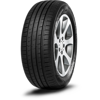 MINERVA 205/55R16 91W F209