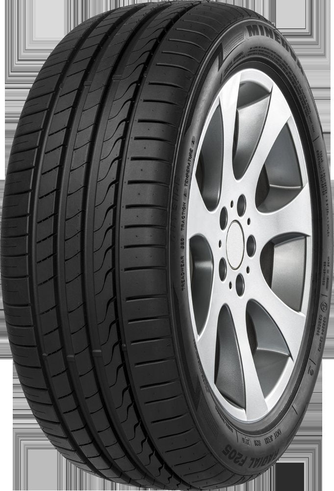MINERVA 245/45 R18 100Y XL F205